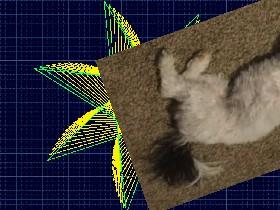 Spiral Triangles 2