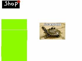 StegaTortoise Clicker! 1