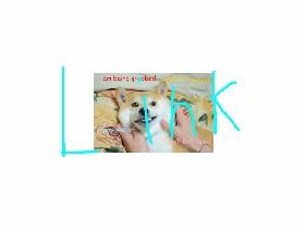 link to projects