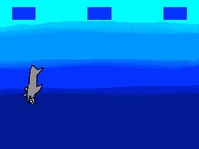 Shark 2 1 1 1