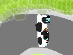 race