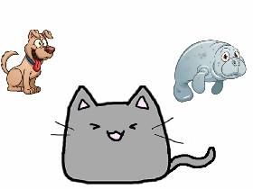 Learn To Draw 12
