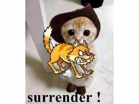 Hyper cat