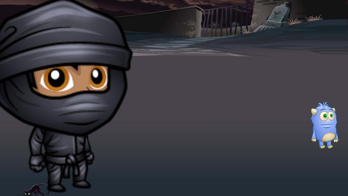 ninja man