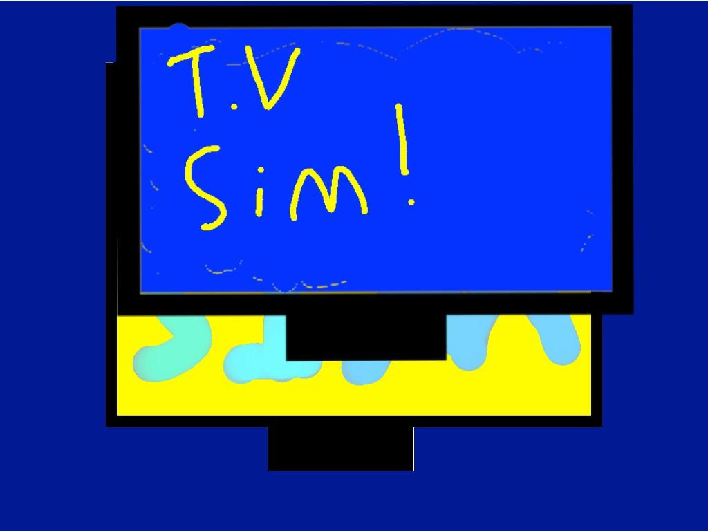 T.V Simulator!