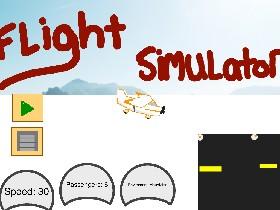 Flight Simulator cool