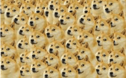 doge maker 1
