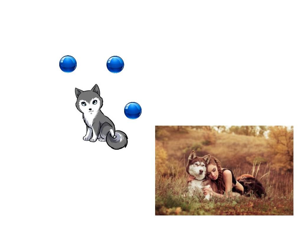 Spin Draw