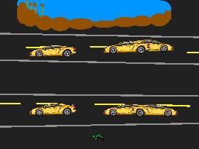 Turtle Road Crossing