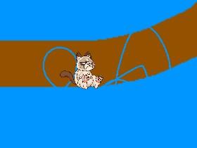 Falling cat 1
