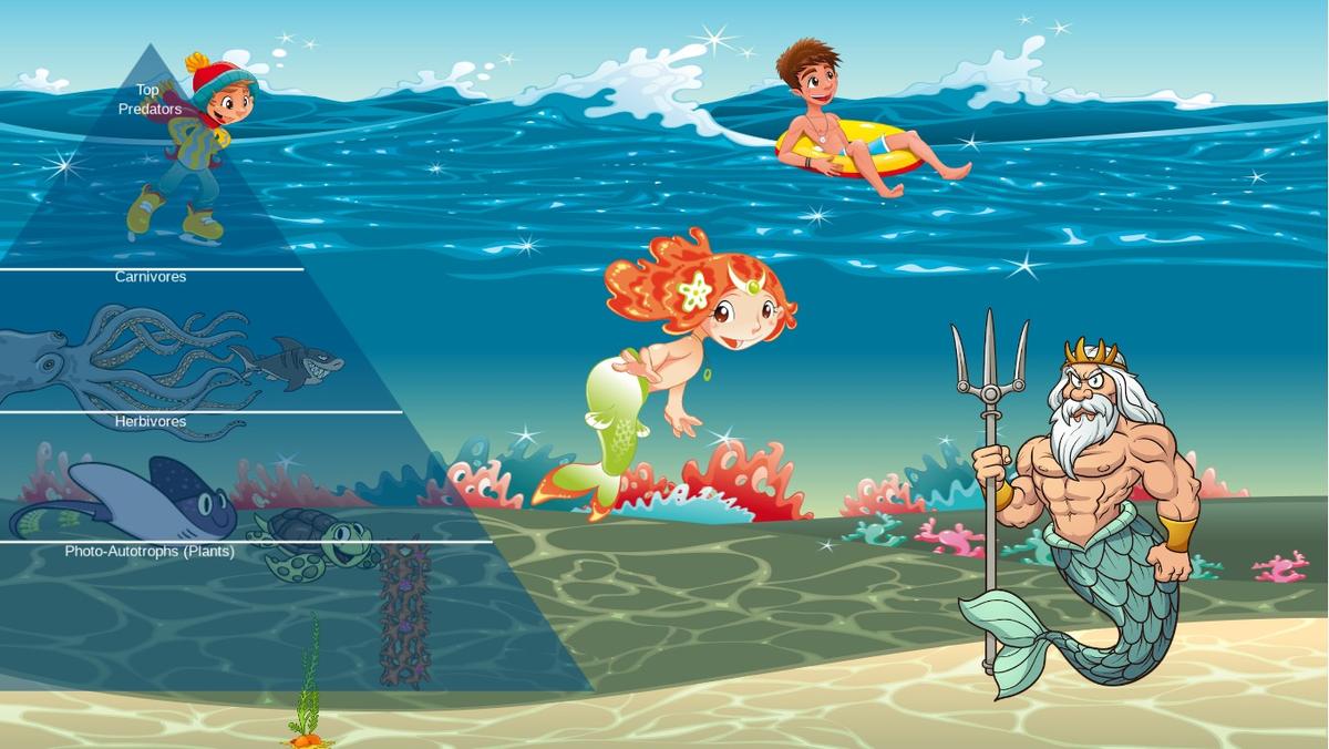 Ocean Ecological Pyramid