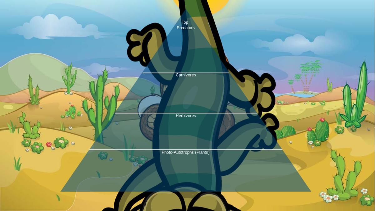 Ocean Ecological Pyramid