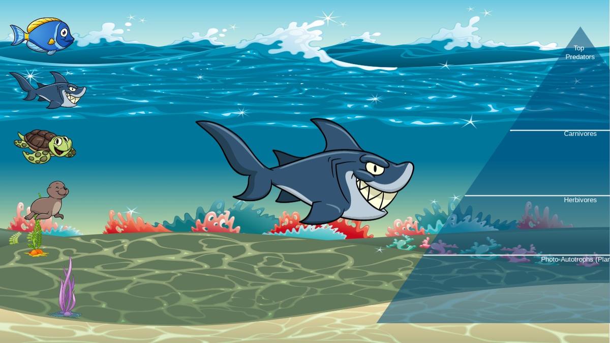 Ocean Ecological Pyramid