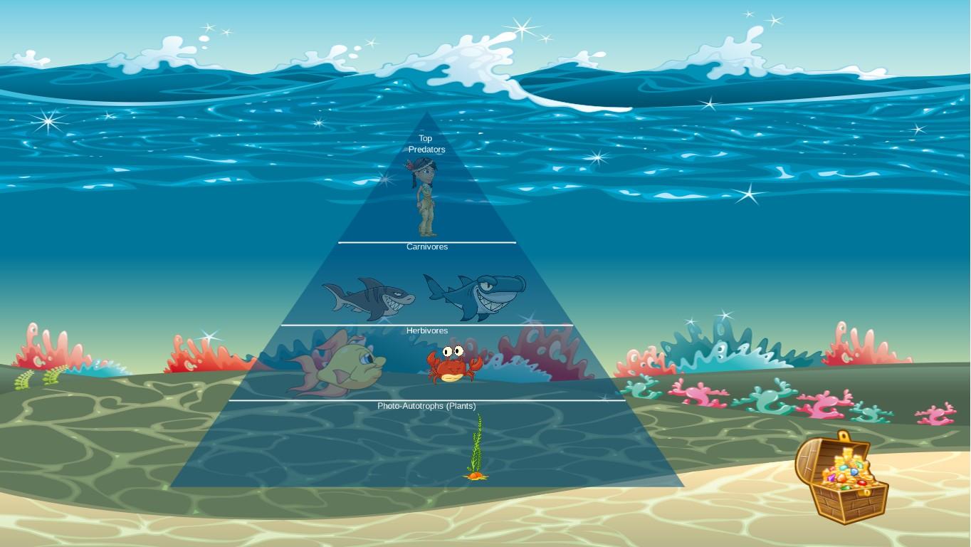 Ocean Ecological Pyramid