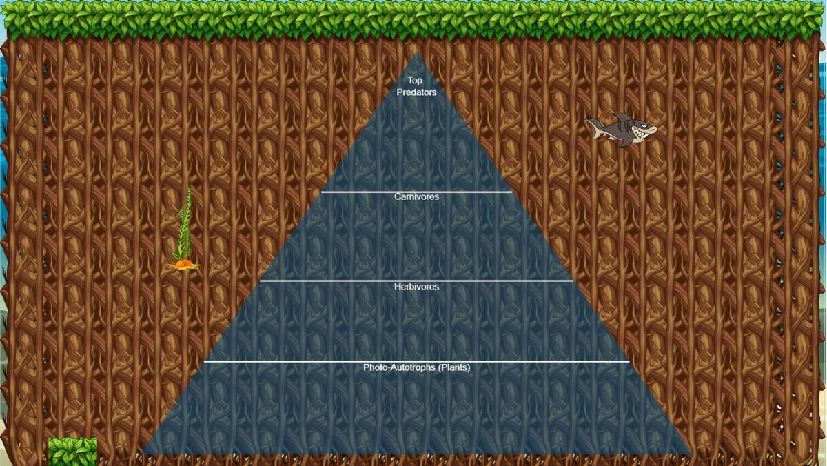 Ocean Ecological Pyramid