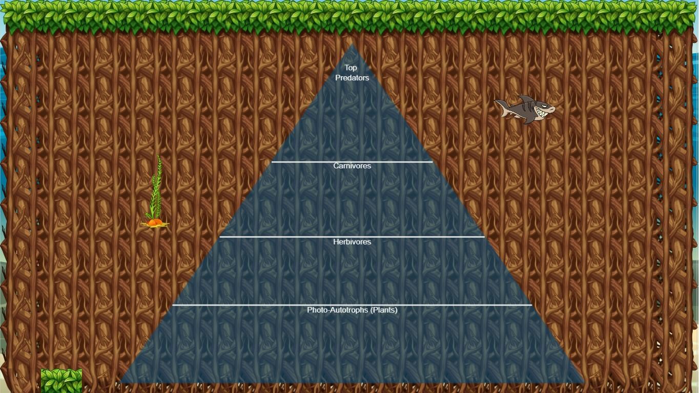 Ocean Ecological Pyramid
