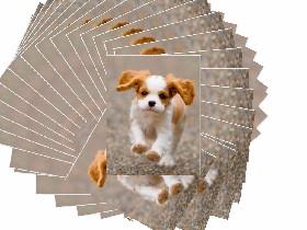Spin Draw 14