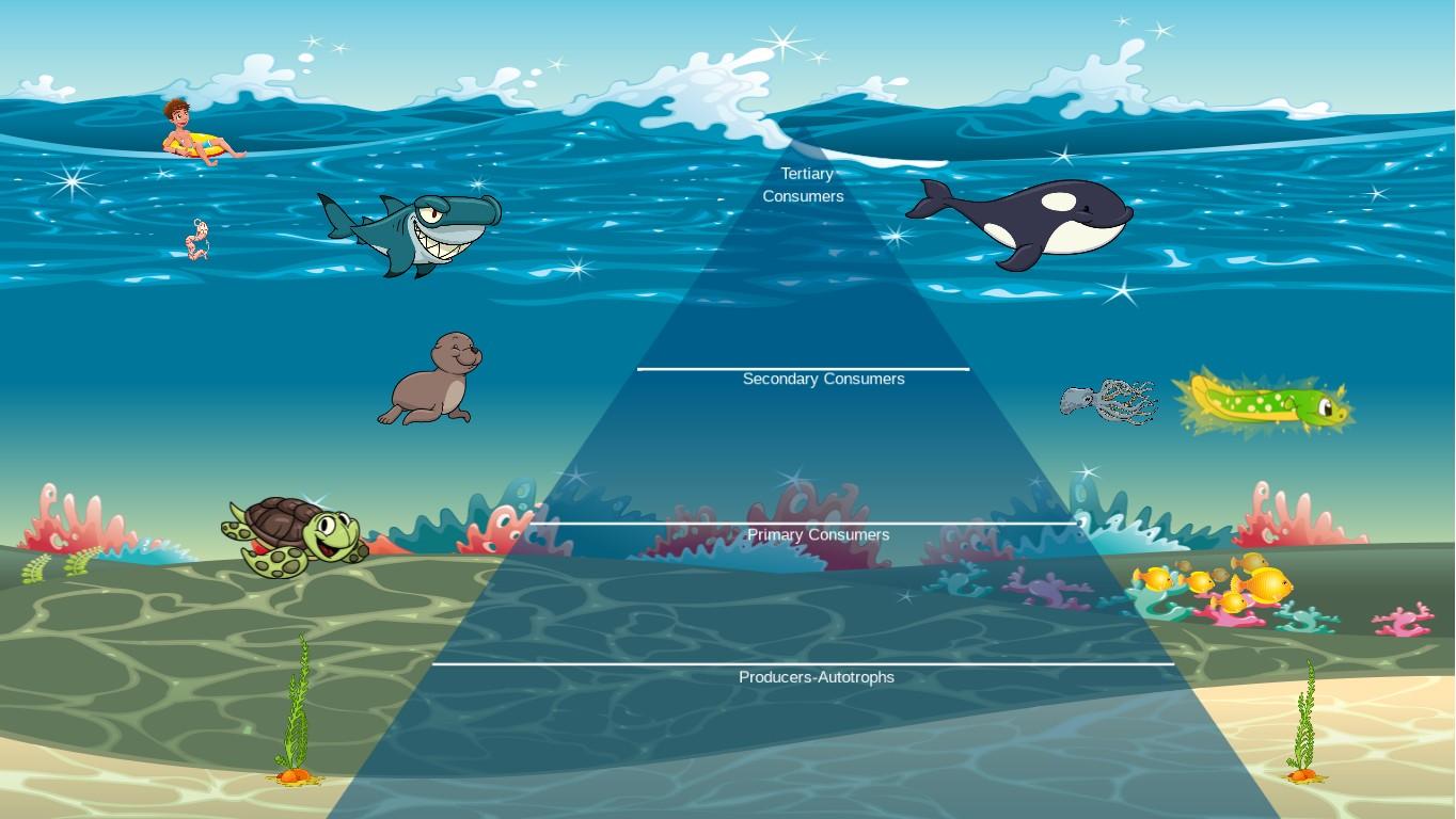 Ocean Ecological Pyramid