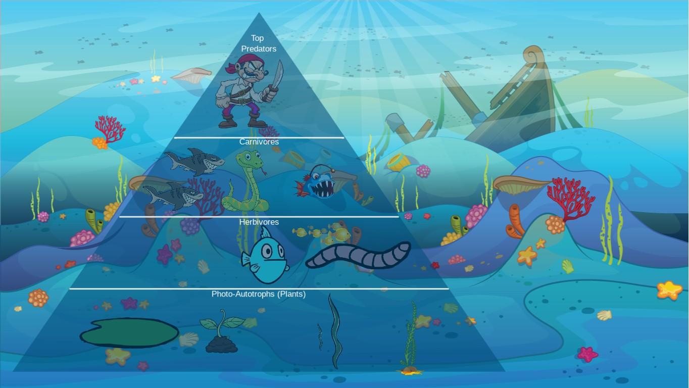 Ocean Ecological Pyramid
