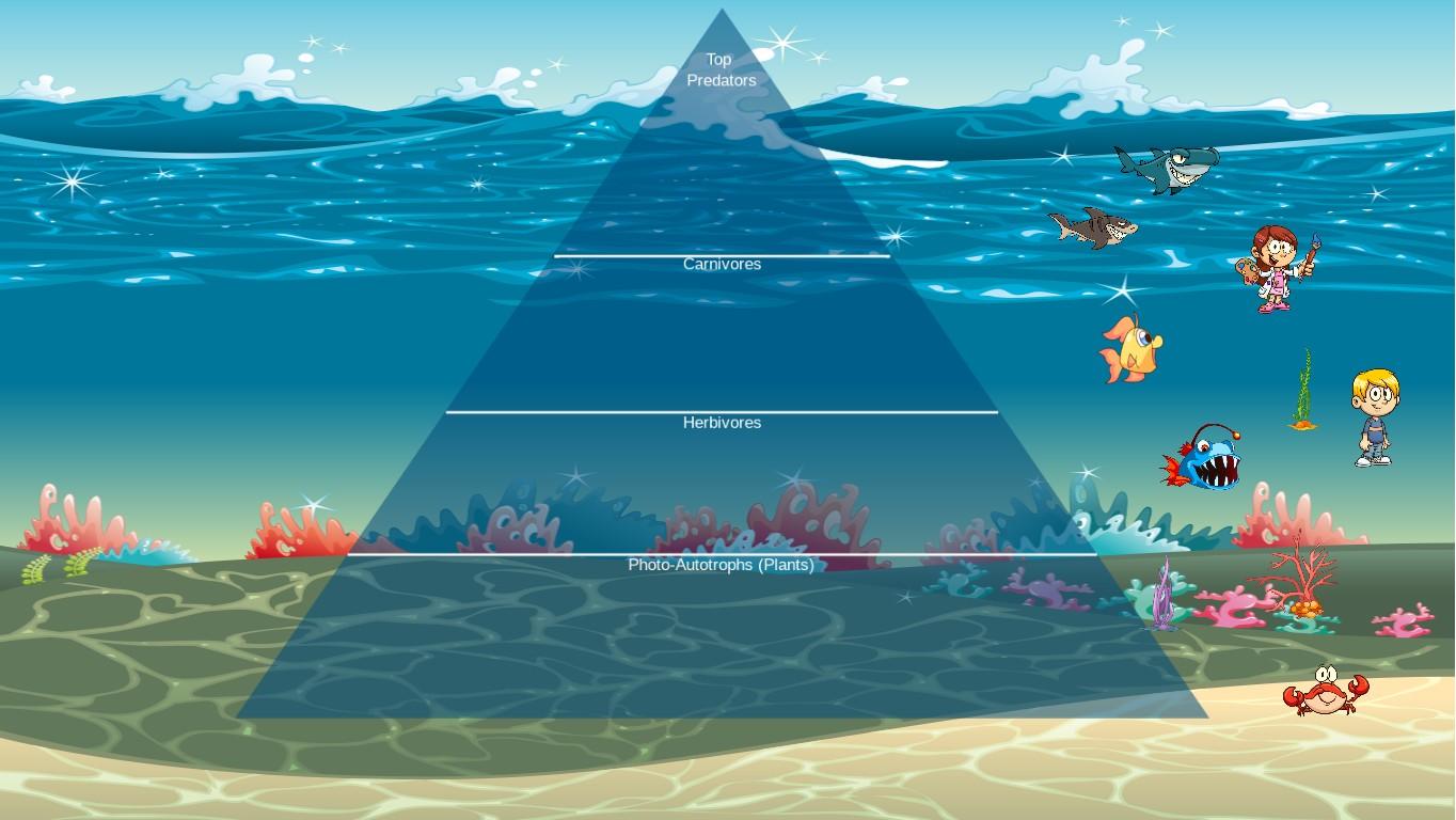 Ocean Ecological Pyramid