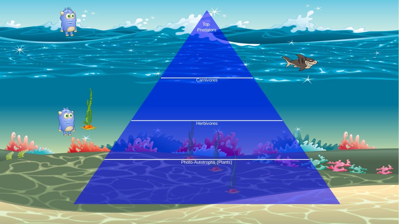 Ocean Ecological Pyramid