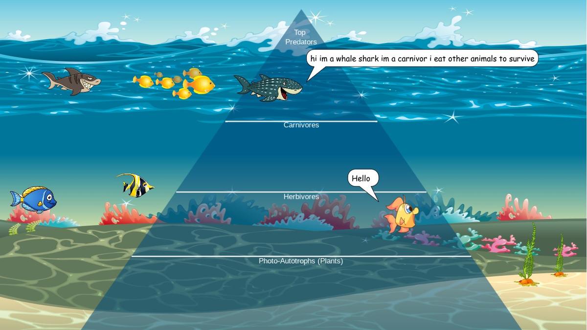 Ocean Ecological Pyramid