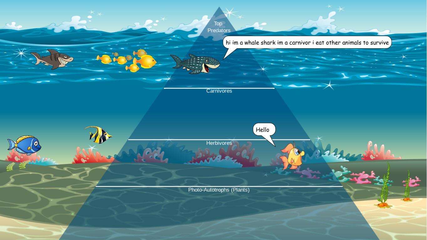 Ocean Ecological Pyramid