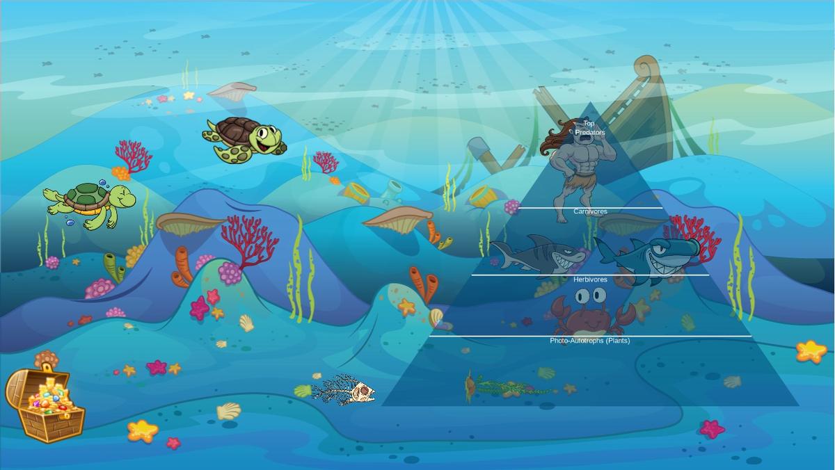 Ocean Ecological Pyramid