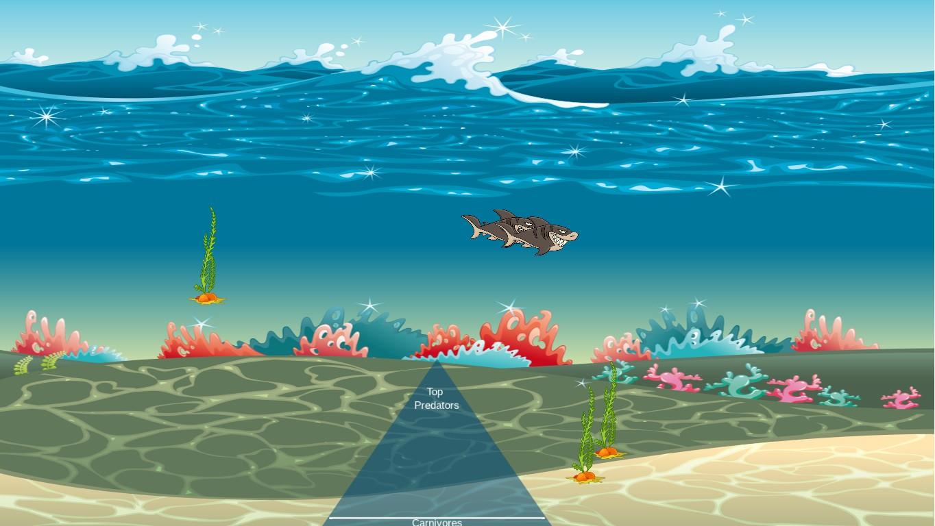 Ocean Ecological Pyramid