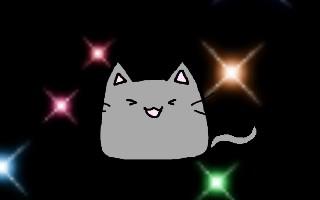 Cat at night