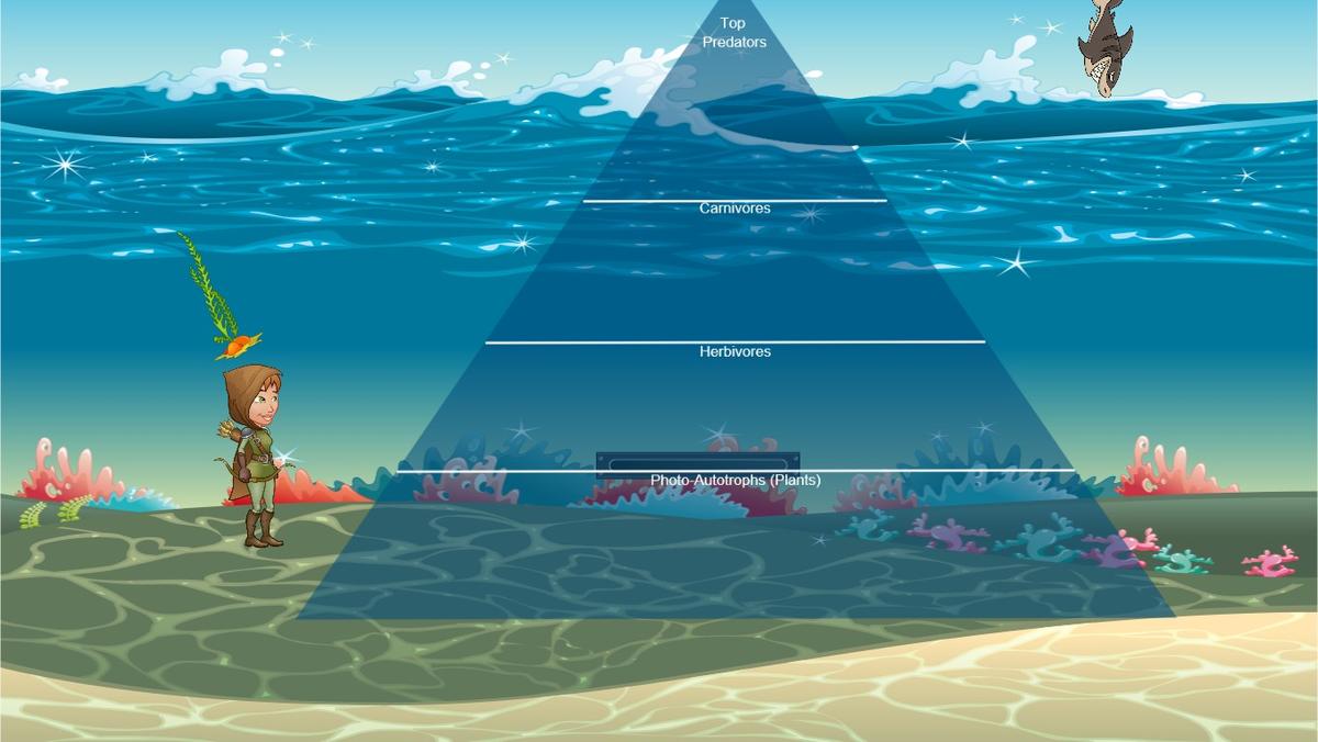 Ocean Ecological Pyramid