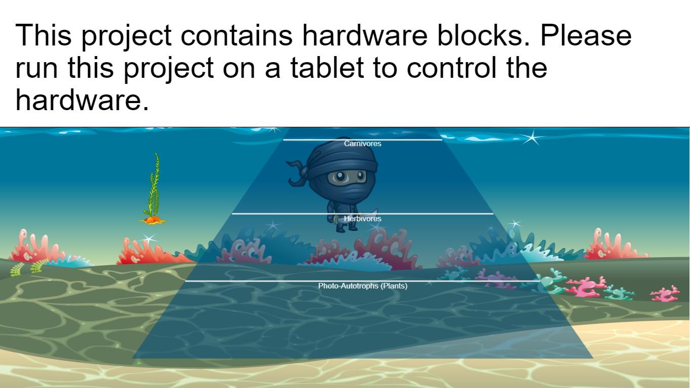 Ocean Ecological Pyramid