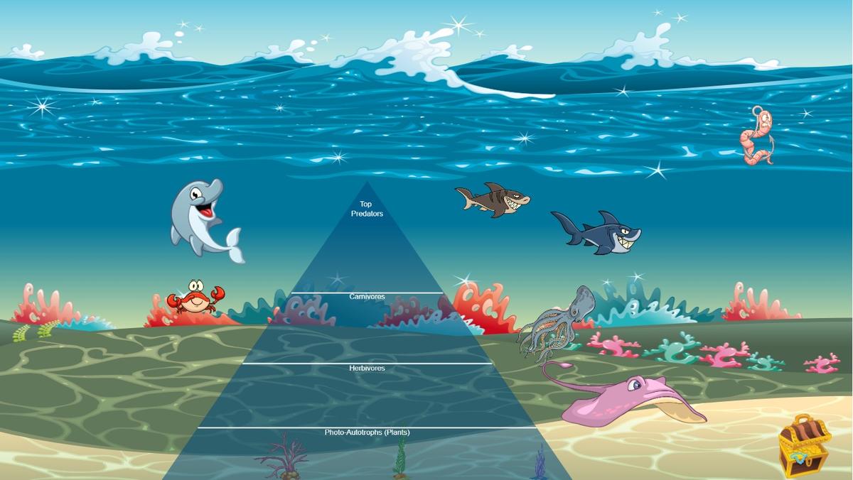 Ocean Ecological Pyramid