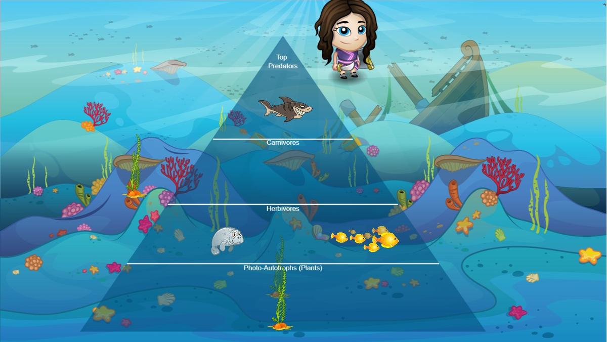 Ocean Ecological Pyramid