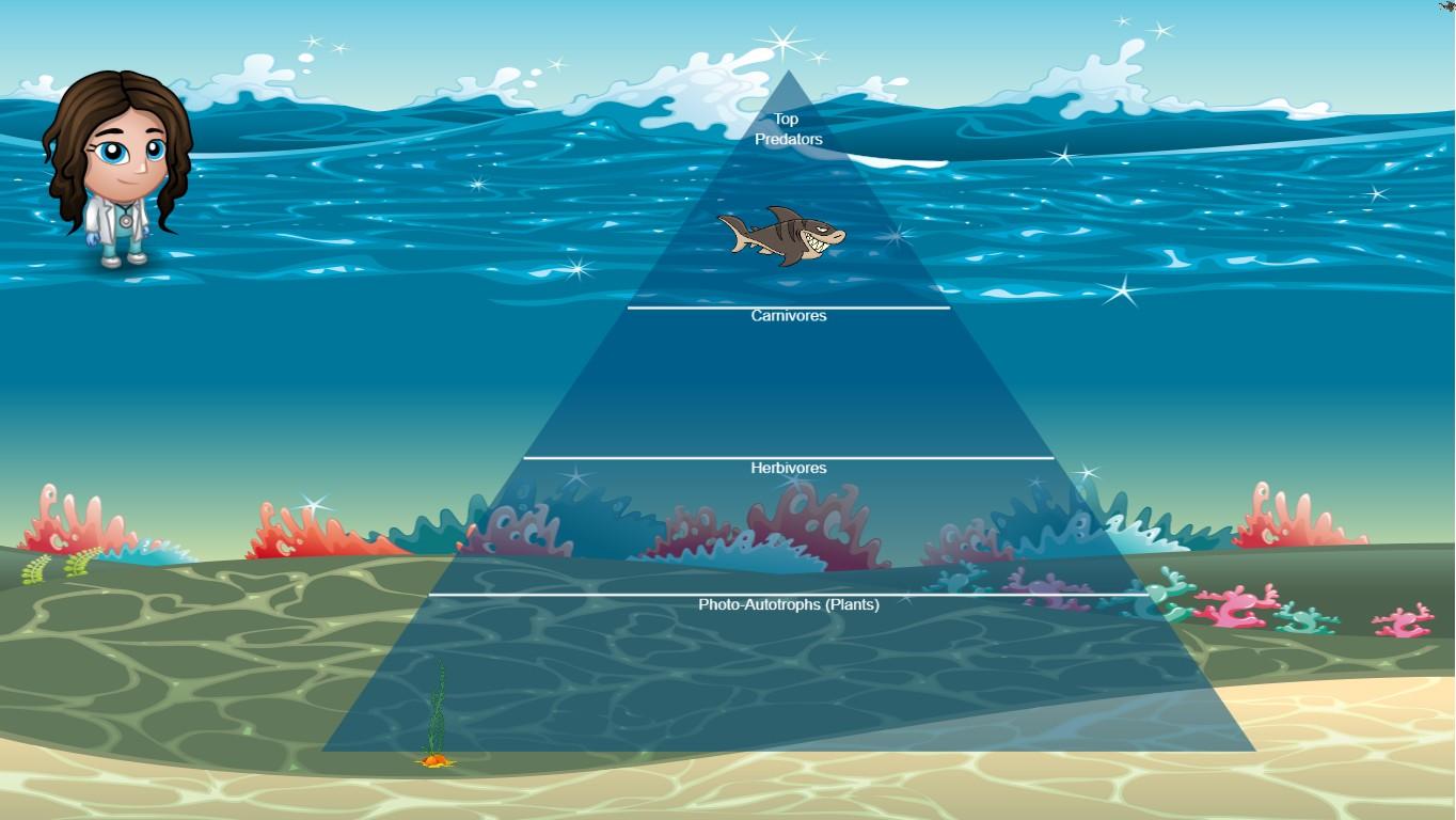 Ocean Ecological Pyramid