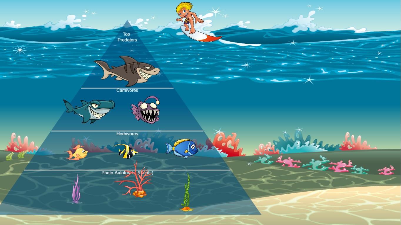 Ocean Ecological Pyramid