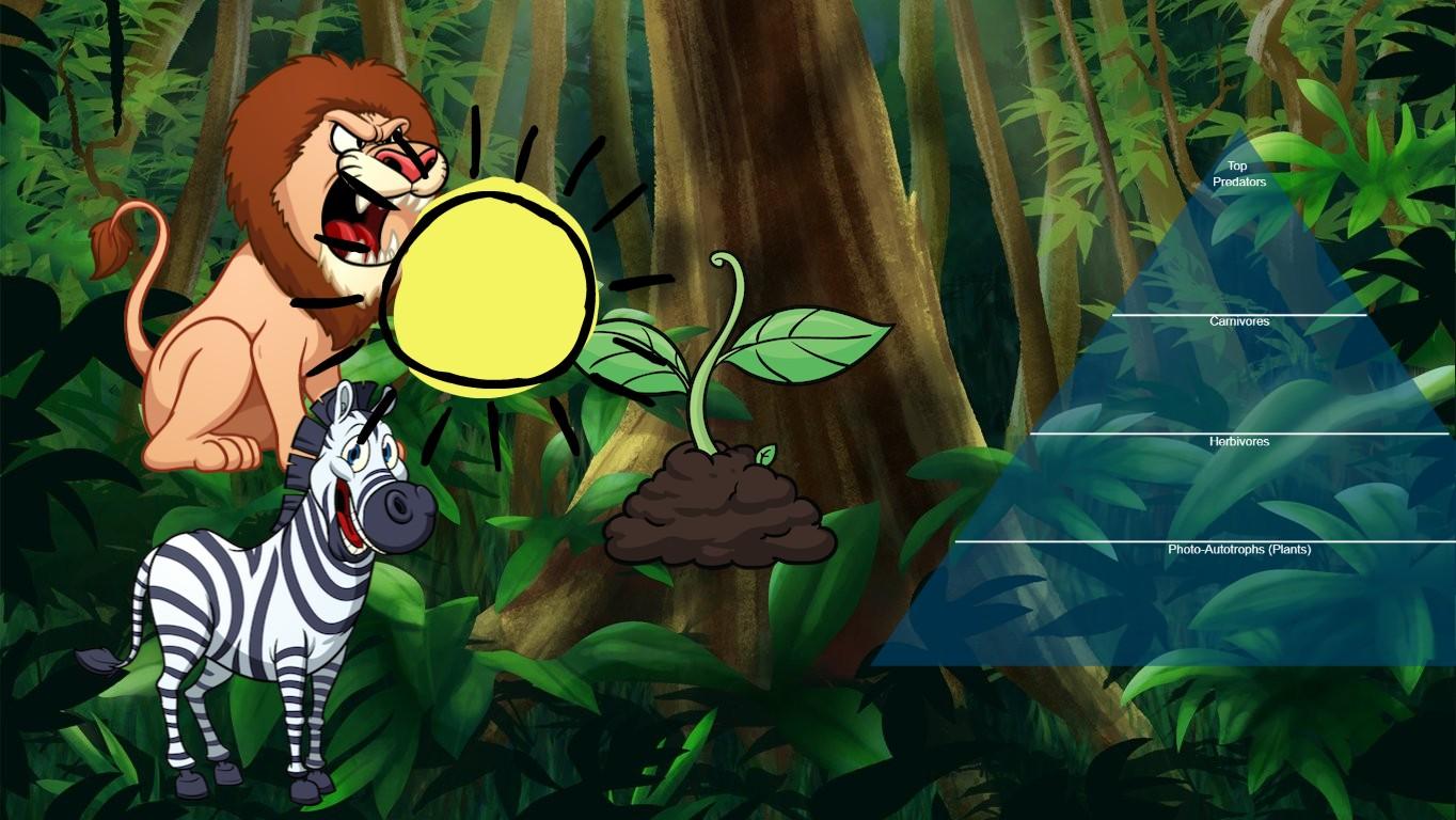 Ocean Ecological Pyramid