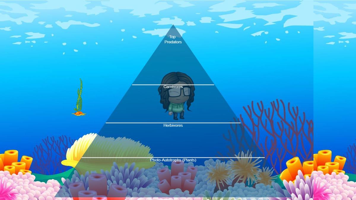 Ocean Ecological Pyramid