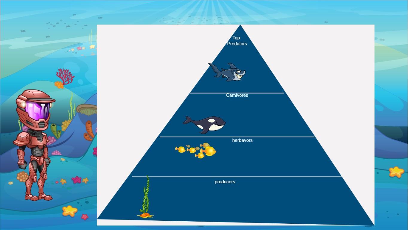 Ocean Ecological Pyramid