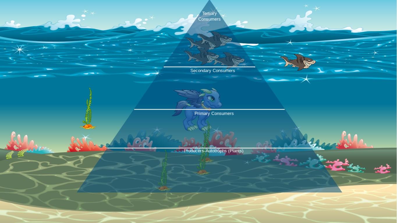 Ocean Ecological Pyramid