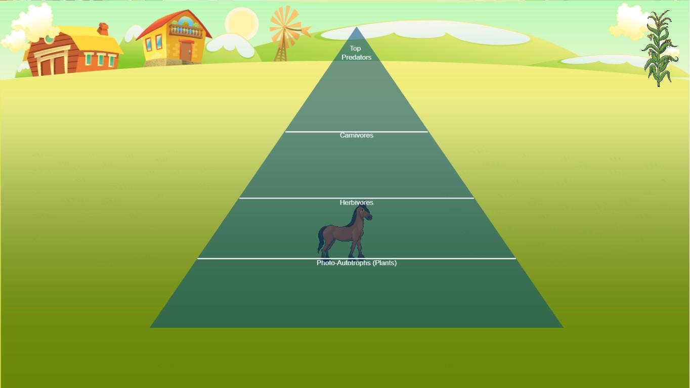 Ocean Ecological Pyramid