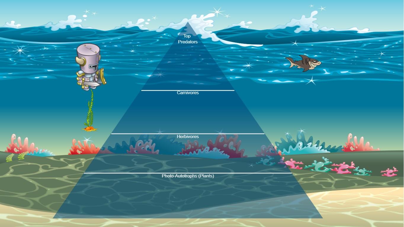 Ocean Ecological Pyramid