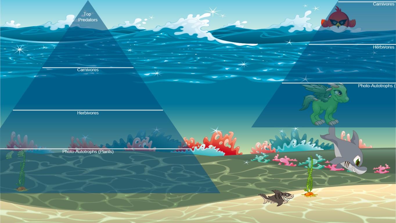 Ocean Ecological Pyramid