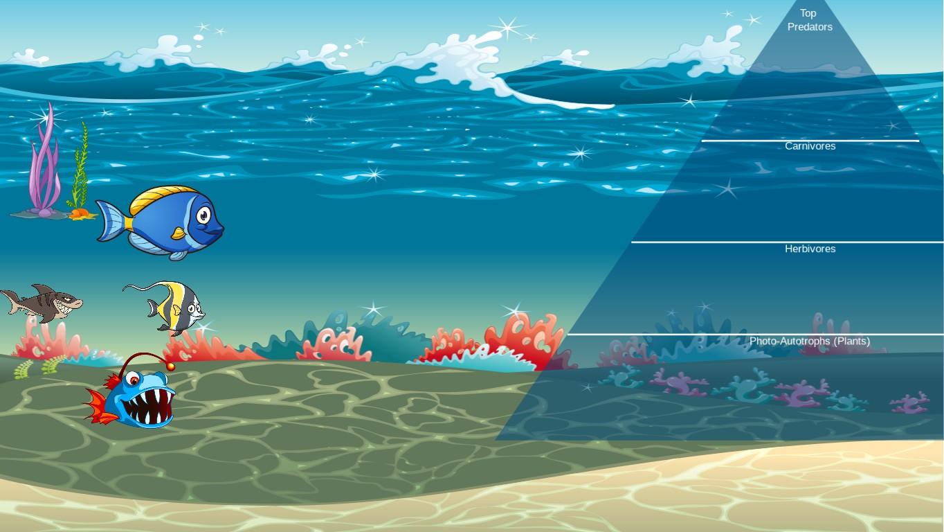 Ocean Ecological Pyramid