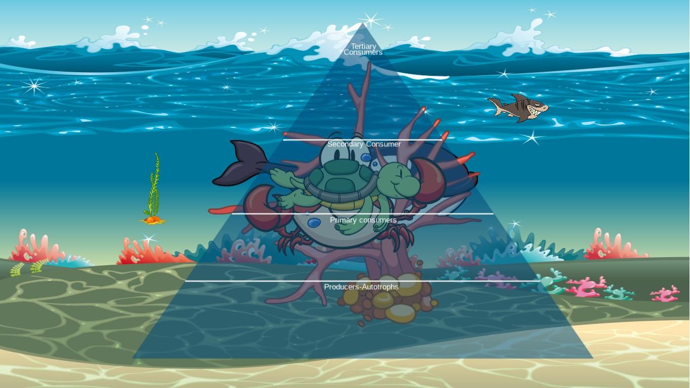 Ocean Ecological Pyramid