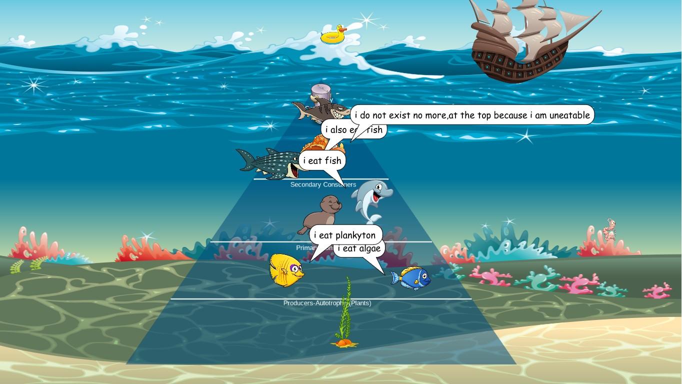 Ocean Ecological Pyramid