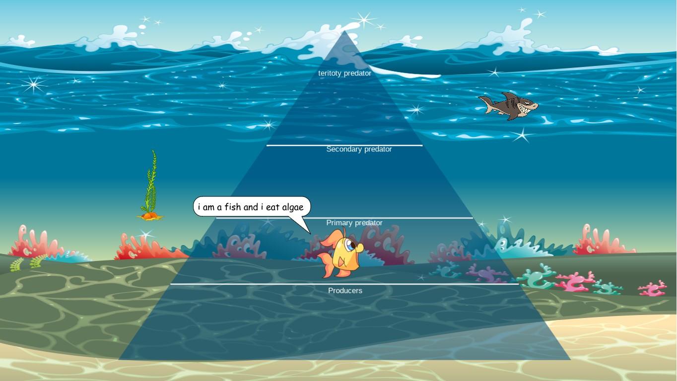 Ocean Ecological Pyramid