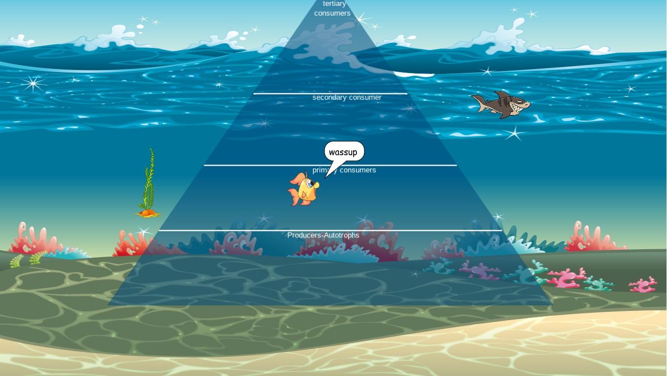 Ocean Ecological Pyramid