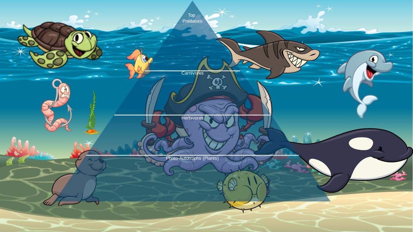 Ocean Ecological Pyramid