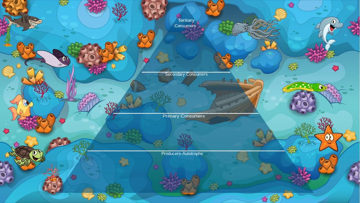 Ocean Ecological Pyramid